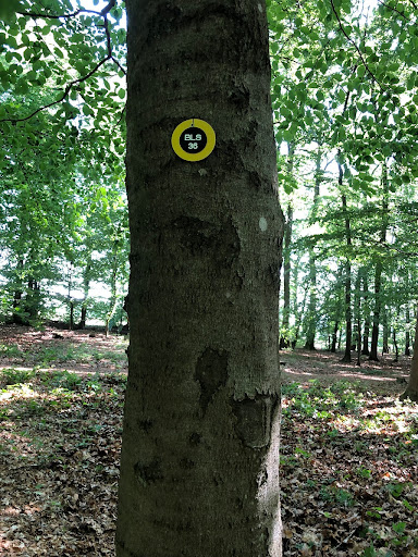 RuheForst Bell am Laacher See - Thumbnail