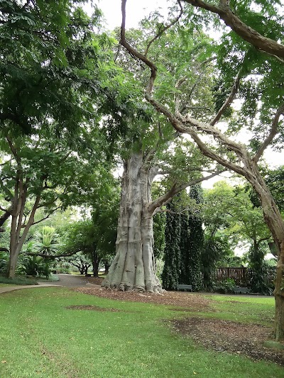 Foster Botanical Garden