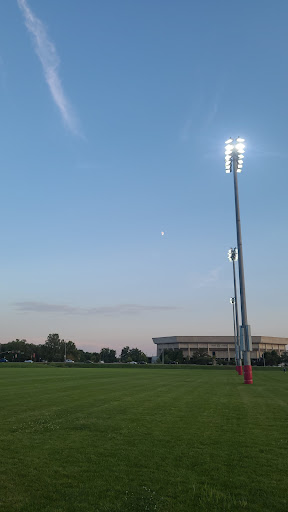 MWL Fields - Visual