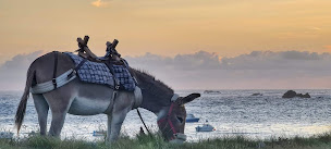Photo n°1 de Azen Randonnée Ouessant à Ouessant (Club de randonnée)