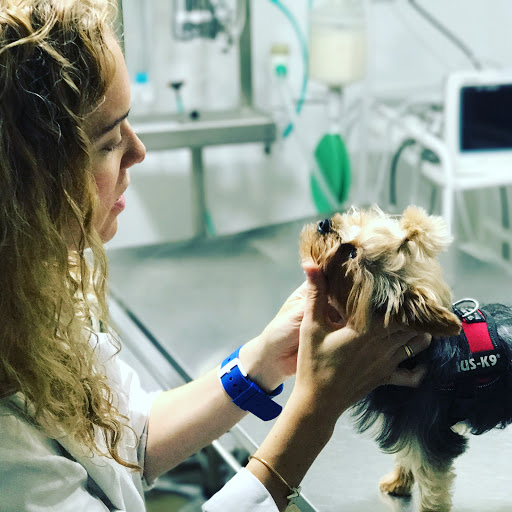 Clínica Veterinaria El Arca de Noé