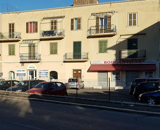 Bouganville Di Dettori Loredana - Thumbnail