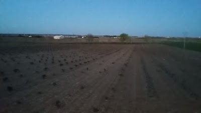 Photos of Casa Rural Santa Ana