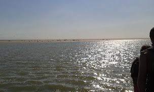 Photo n°5 de Locations Studios Côte d'Opale à Berck (Agence de voyages)