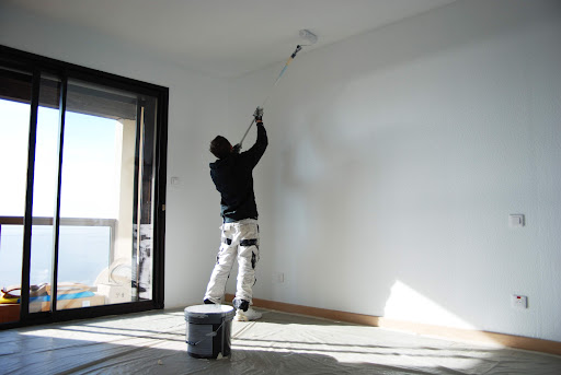 SAS Palierne - Peinture intérieur / extérieur