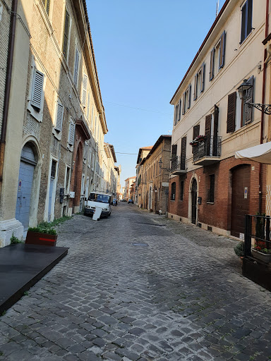 Zanti - Visual