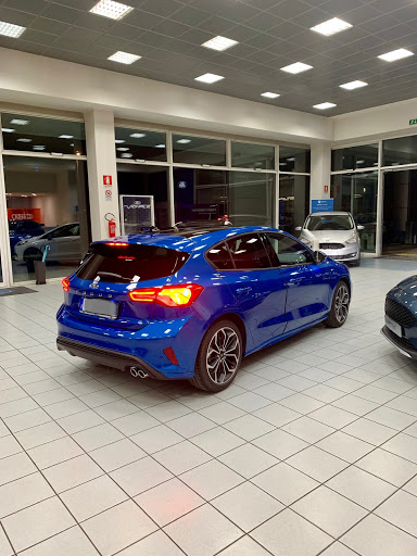 Ford Bisson Auto - Visual