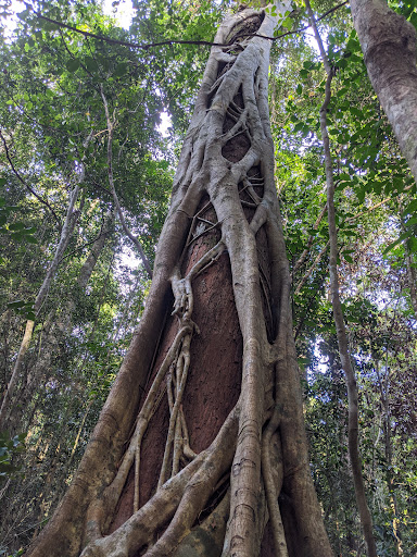 Iluka Nature Reserve - Thumbnail