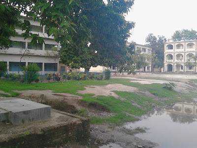 school
