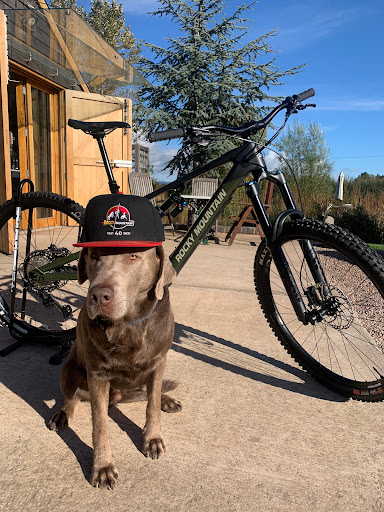 ZeroBikes - Visual