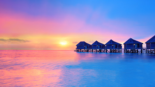 Stephen King by Dream Vacations - Thumbnail