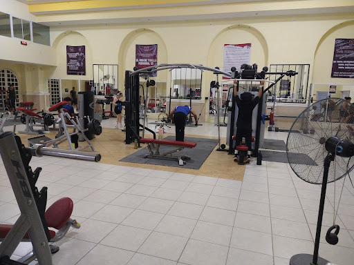 Locky's Gym - Thumbnail