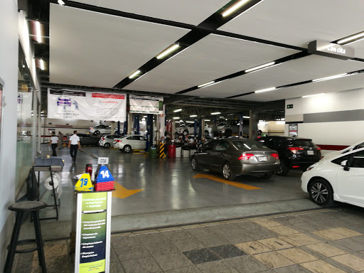 HONDA VANGUARDIA GONZALEZ GALLO - Thumbnail