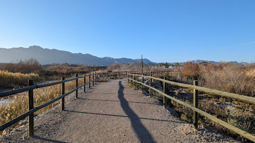Las Salinas trail - Thumbnail