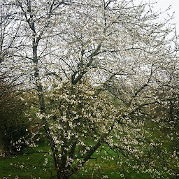 Photo n°19 de Maison d'Hôtes Figues et Galets à Mondavezan (Maison d'hôtes)