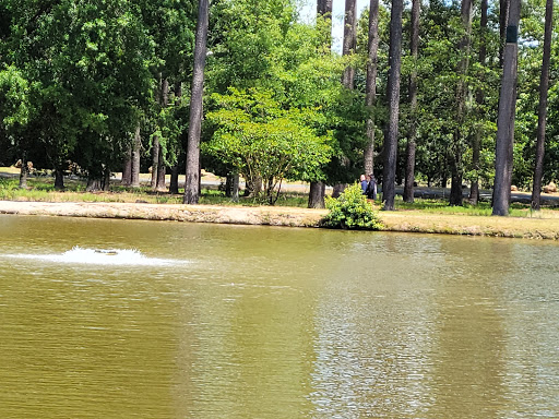 Dellinger Park - Visual