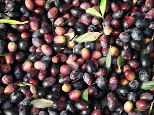 Photo n°4 de Comptoir D'ailleurs à Bressey-sur-Tille (Magasin d'alimentation bio)