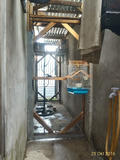 Photos of Fawwaz Bird Farm Aurduri
