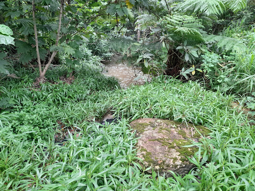 Lagoon Crescent Park - Thumbnail