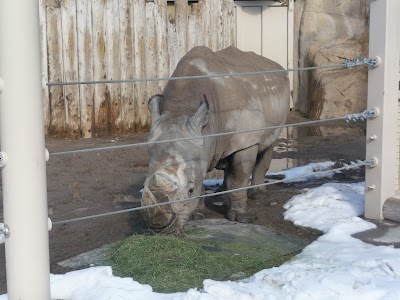 Elephant Encounter at Hogle Zoo