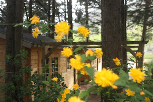 Photo n°18 de Camping Le Matin Calme à Vesc ()