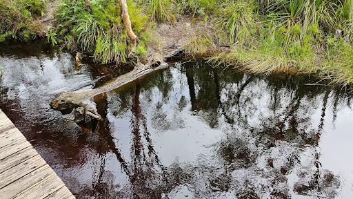 Seary's Creek Day Use Area - Thumbnail
