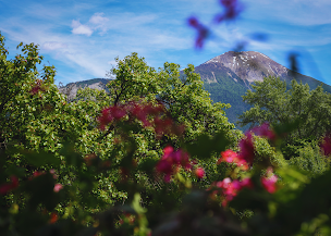 Photo n°8 de Gîtes Écrins à Châteauroux-les-Alpes (Refuge de montagne)