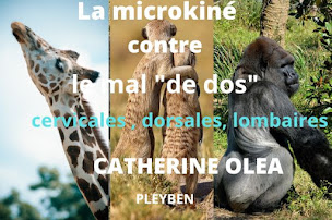 Photo n°5 de Microkinésithérapeute Catherine Olea à Pleyben (Kinésithérapeute)
