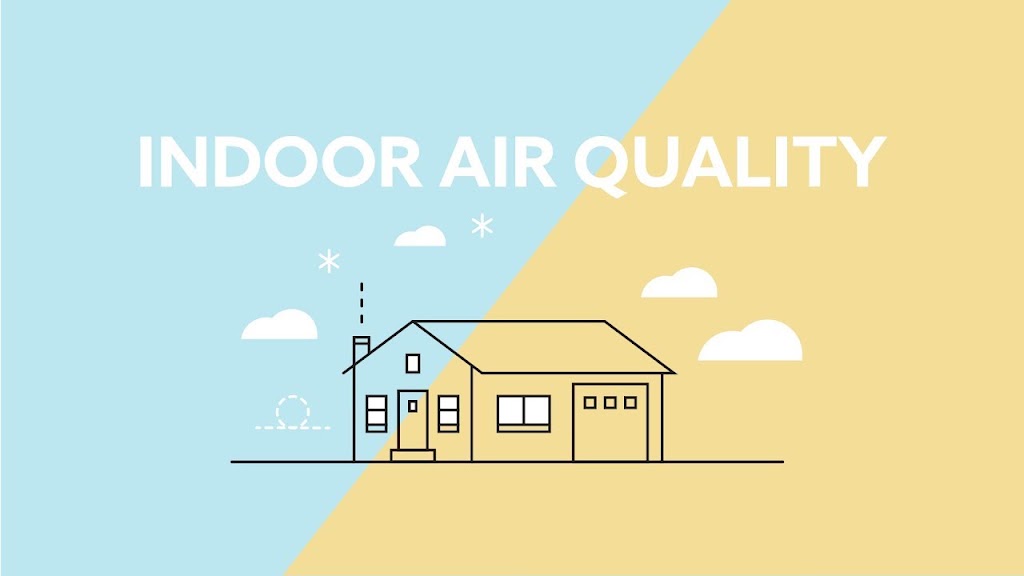 Miami Mold & Water Solutions LLC photo