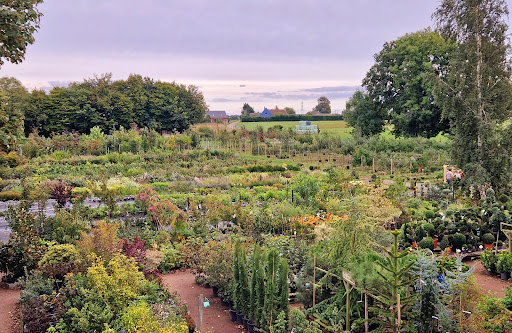 Photo de Les jardins d'Avremesnil à Avremesnil (76730)