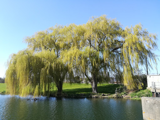 Bottisham Lock - Thumbnail