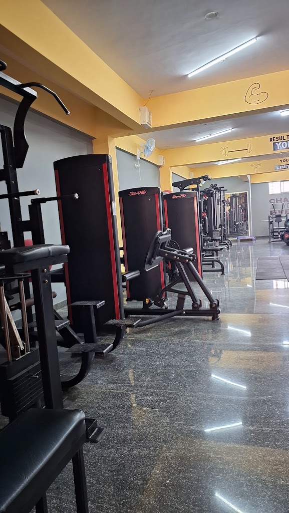 Muscle Man Gym Supplements