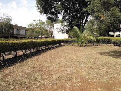 university