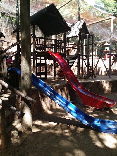 Photos of Safari Garden Centre
