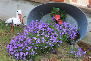 Photo n°17 de La Maison de Vacances location gîte séjour atypique rental holiday cottage Route des Vins d'Alsace à Nothalten (Gîte)