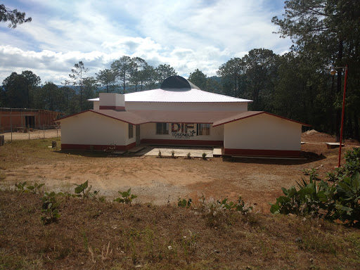 DIF Yosondúa