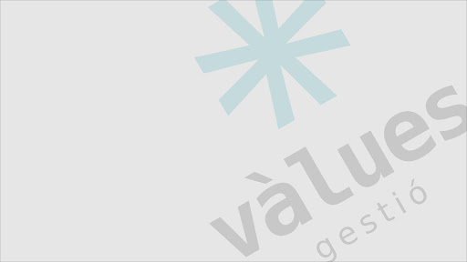 Vàlues gestió - Visual
