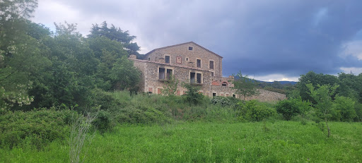 Can Yakuzi