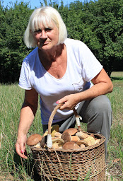 Photo n°8 de Chez Annie à Saint-Avit-Rivière (Chambre d'hôtes)