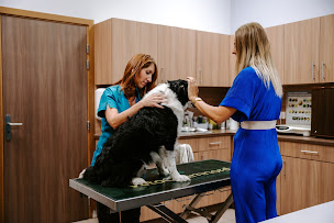 Photo n°9 de Clinique Vétérinaire VetoChamnord à Chambéry (Vétérinaire)