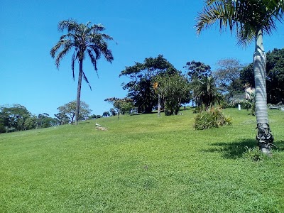 Photos of Star Park