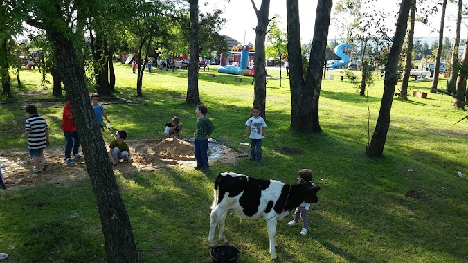 campo nuevo horizonte, Author: Ivan M