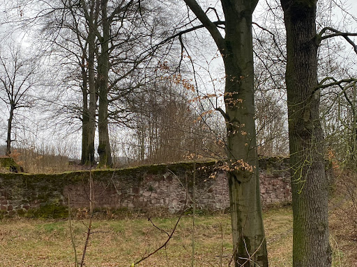 Ruine Ilburg - Thumbnail