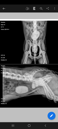 Centro Medico Veterinario Albéitar - Thumbnail