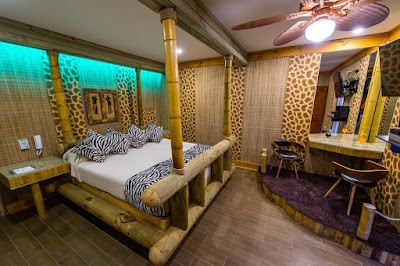 Photos of MOTEL DE LUXE