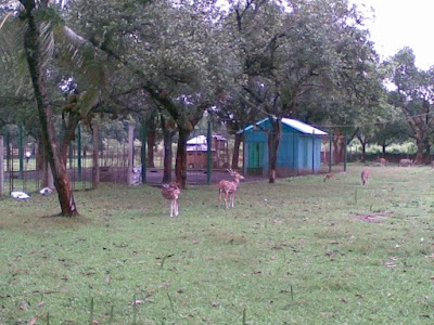 Photos of Hameem Denim Dormitory
