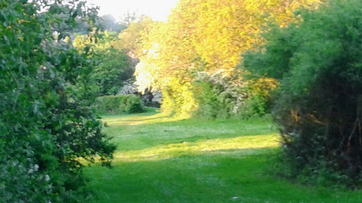 Waterthorpe Park - Thumbnail