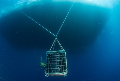 Jamin underwaterwinecave Portofino