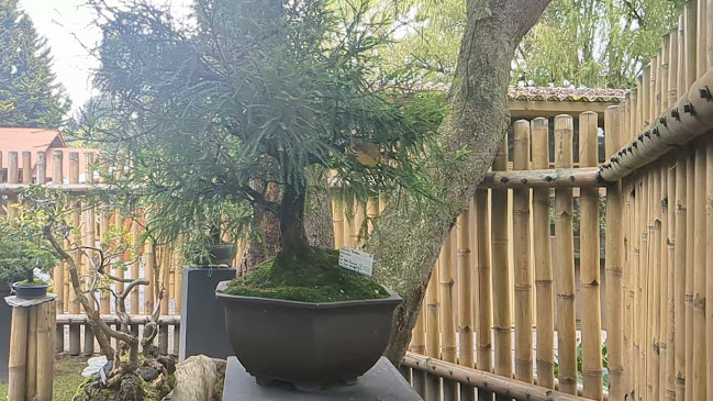 Opiniones de Jardín Botánico de Quito en Quito - Museo