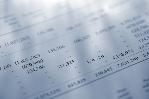 Barneva Bookkeeping & Budgeting Gallery - Canada